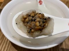 -海丝金凤(金鱼店)
