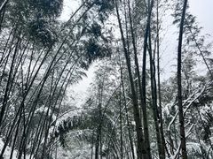 -萍乡武功山风景名胜区