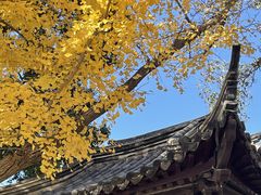 -常熟方塔园