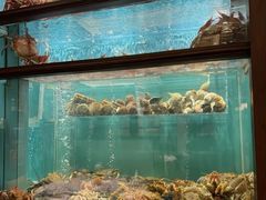 -珍记海鲜酒家(嵩山路店)