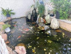 -维倪月子会所(独栋庭院·南海店)
