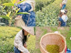-天目湖涵田度假村