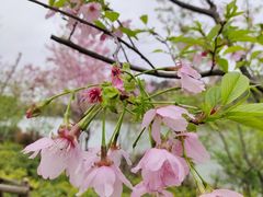 -福建鲤鱼洲酒店