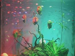 -南昌融创海世界