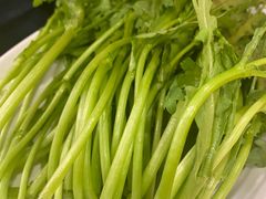 -蝎王府羊蝎子(西直门店)