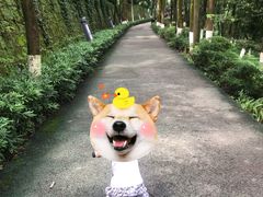 -翠屏公园