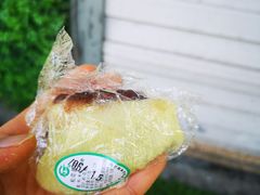 松花晶团-江南春(中山中路店)