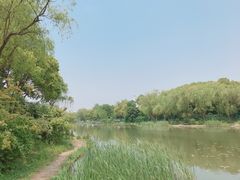 -新江湾城公园