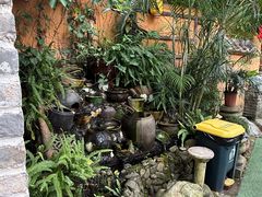 -园林美食城·本土农家菜(杨和镇店)