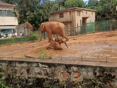 -昆明动物园