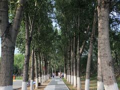 -回龙观体育文化公园