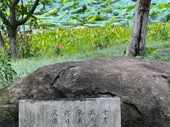 -八卦田遗址公园
