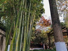 -乌镇东栅景区