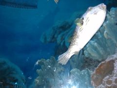 -多彩贵州城极地海洋世界