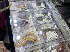 -南宁国际会展中心