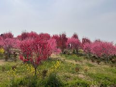 -幕燕滨江·燕子矶公园