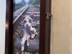 -宠爱国际动物医院·消化内科·心肾内科·ISFM猫友好(望京店)