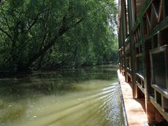 -大湾区中央湿地公园