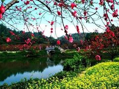 -南国桃园旅游度假区