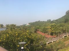 -立新湖公园