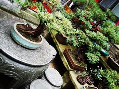 -老张烤羊(王哥庄店)