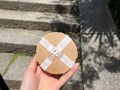 -奈良公园