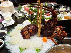 澳洲红龙-好彩海鲜火锅饭店(银河百老汇店)