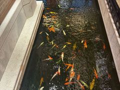 -龙悦湾酒家·八阵鱼生·渔人码头店
