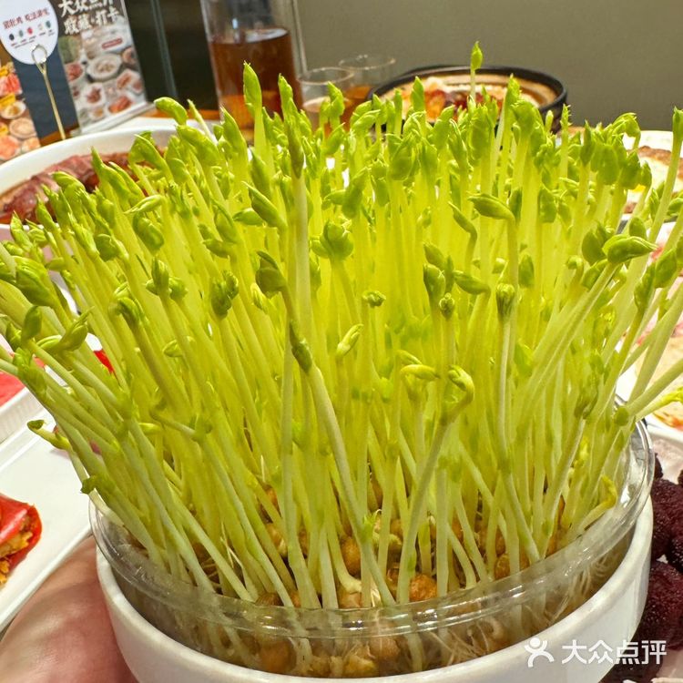 广顺兴🆕上新啦！一口气上新13款菜品！
