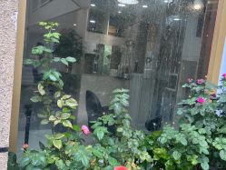 点击看大图 -尚艺造型.剪烫染.接发