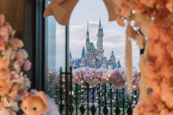 -迈瑞米求婚策划(静安店)