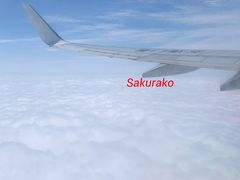 -杭州萧山国际机场