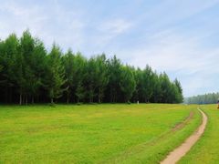 -御道口草原森林风景区