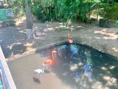 -西霞口神雕山野生动物世界