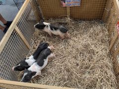 -尚泰清迈机场购物中心