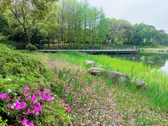 -尚贤河湿地