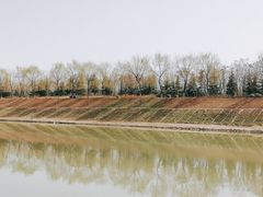 -洨河生态公园