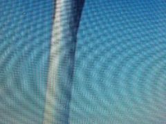 android_upload_pic-沈阳植物园