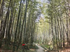-南山风景名胜区
