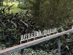 -云溪植物园