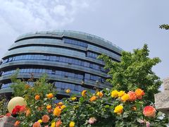 -首都医科大学宣武医院