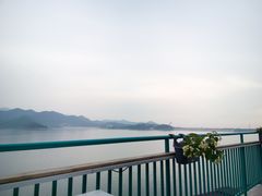 -望湖烤鱼