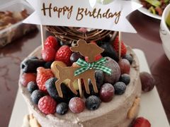 -EnergyCake蛋糕理想国
