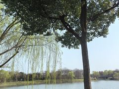 -贡湖湾湿地公园