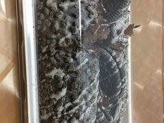 -奈雪的茶(永嘉天地东百城店)