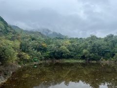 -阳台山自然风景区