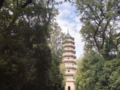 -灵谷景区