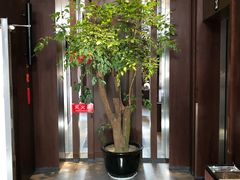 -成都皈徕栖精品酒店(四川大学九眼桥店)