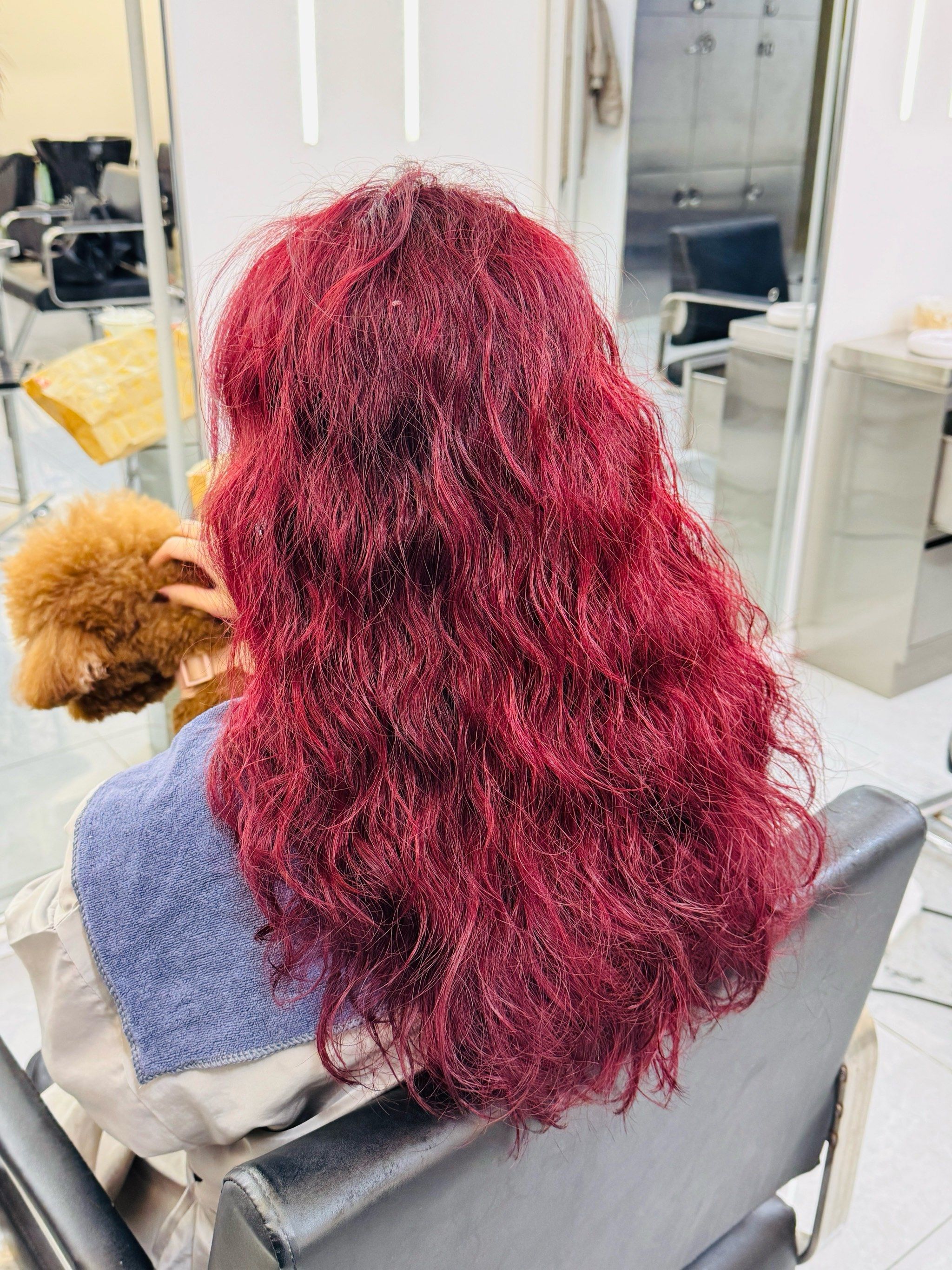 红红火火过大年了#卷发羊毛卷打理 #树莓色 #今日发型 「l hair salon