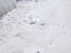 -费特希耶滑翔伞